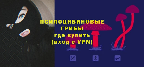 spice Медногорск