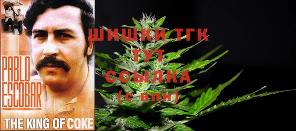 spice Медногорск