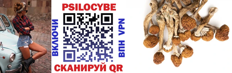 дарнет шоп Миасс blacksprut ссылка Псилоцибиновые грибы Psilocybe