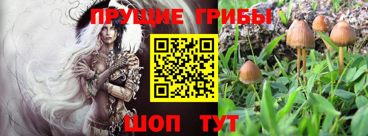 Псилоцибиновые грибы прущие грибы Миасс