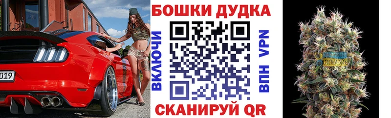 Каннабис сатива kraken вход Миасс